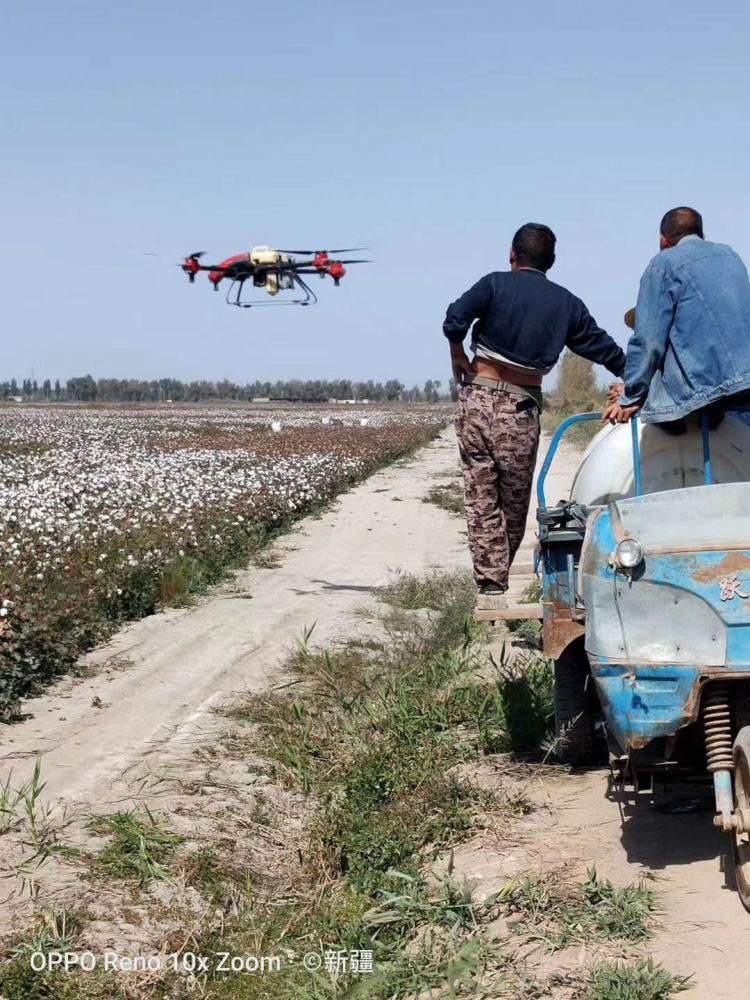 1610417252152819.jpg 3.jpg